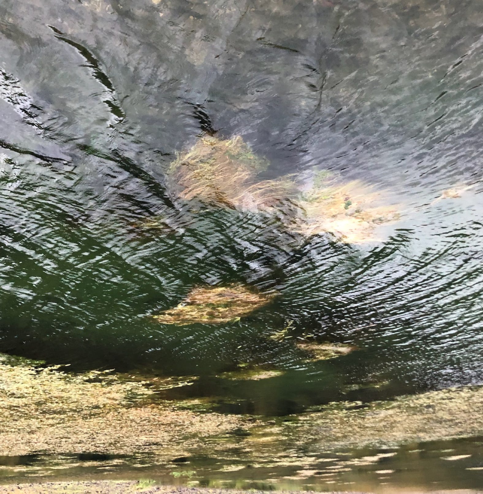 Paysage désorienté de la série Pas d'eau, pas de nymphéa.