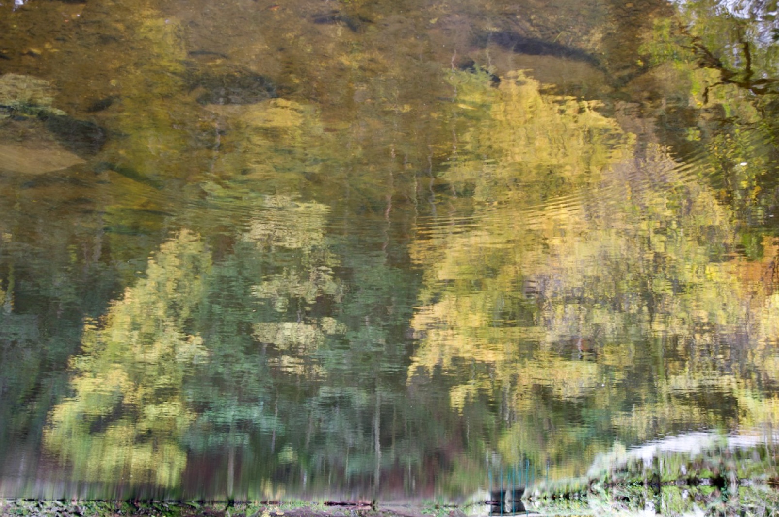 Paysage désorienté de la série Pas d'eau, pas de nymphéa.